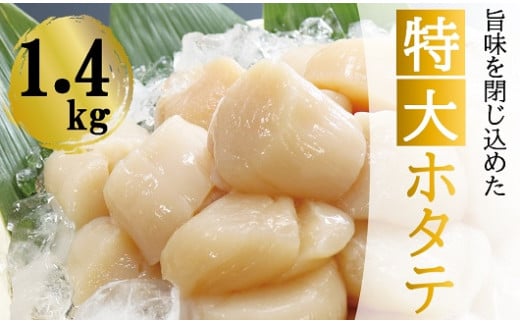 F-32017 ＼漁業者応援品／【北海道根室産】＜計1.4kg＞ホタテ貝柱(特大)700g×2P ふるさと納税 ホタテ 帆立 ほたて 海鮮