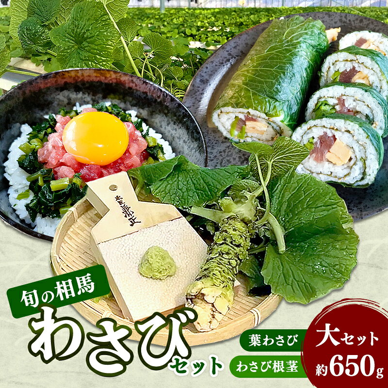 【ふるさと納税】旬の相馬 相馬わさびセット 大セット約650g 薬味 野菜 食品 FAI-0035