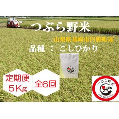 ふるさと納税 韮崎市 【毎月定期便】つぶら野米(品種:コシヒカリ) 白米5kg 定期6ヶ月(計30kg)全6回