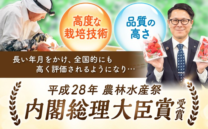 あまおうG等級 いちご イチゴ 苺 果物