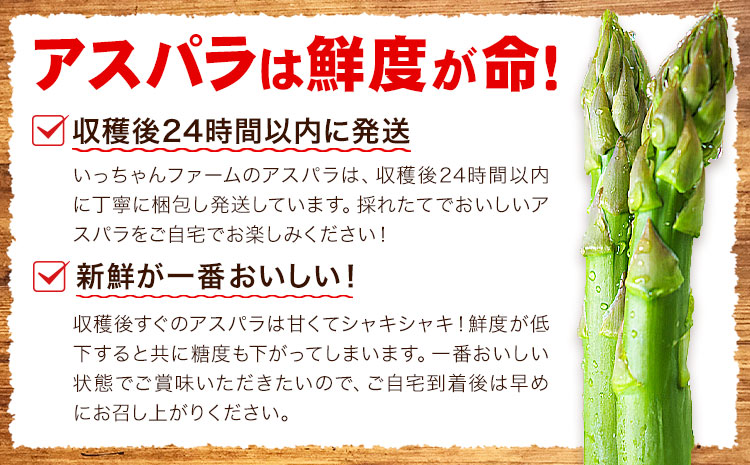 アスパラガス 約600g いっちゃんファーム《2025年6月上旬-9月下旬頃出荷予定》熊本県 氷川町 氷川産 野菜 アスパラガス アスパラ