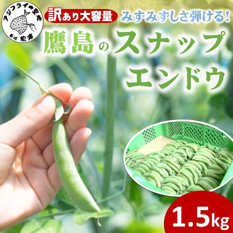 訳あり大容量！みずみずしさ弾ける!鷹島のスナップエンドウ 1.5kg ( 訳アリ えんどう エンドウ 豆 旬の野菜 野菜 新鮮 朝摘み )【B0-194】