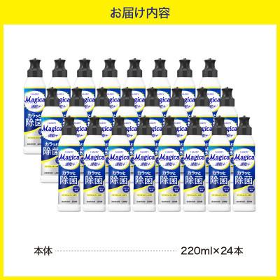 ふるさと納税 市原市 CHARMY Magica 速乾プラス カラッと除菌 フレッシュレモンの香 本体220ml×24個 |  | 01