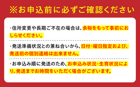 【2027年1月発送】【全3回定期便】田島屋れんこん（泥付き） 計6kg（2kg×3回） / れんこん / 佐賀県 [41ASDA005]