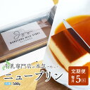 【ふるさと納税】【定期便】濃厚プリン New Pudding（ニュープディング）（500g×1本）×5ヶ月【be152-0931-100-5】