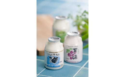 
            いちだヨーグルト 3種類のむヨーグルト詰め合わせ！150ml×18本セット 長野県 信州 南信州 高森町 乳製品 ヨーグルト 飲むヨーグルト 巨峰 シャインマスカット シャイン 信州市田酪農
          