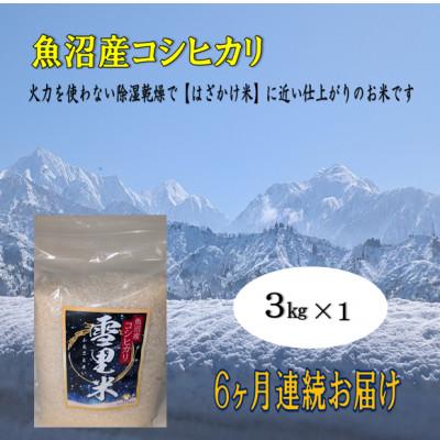 ふるさと納税 魚沼市 【毎月定期便】生産者直送!魚沼産コシヒカリ雪里米(ふるさとまい) 精米 3kg全6回