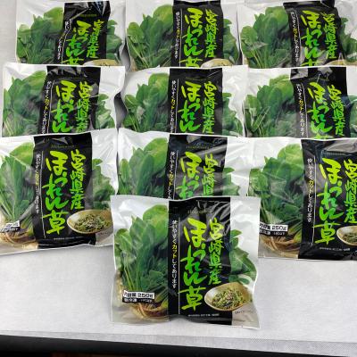 ふるさと納税 都城市 宮崎県産カットほうれん草(IQF冷凍)2.5kg |  | 02