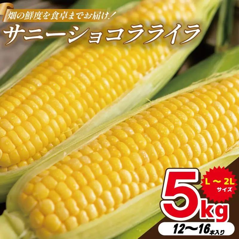 とうもろこし サニーショコラライラ 5kg 先行予約 【 とうもろこし 】 