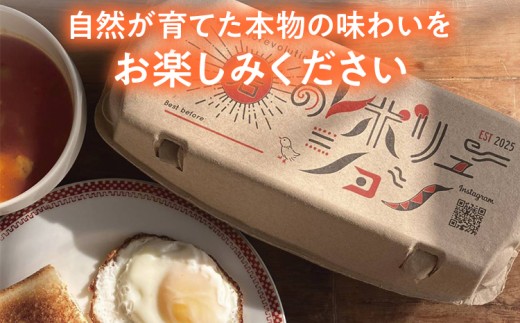 卵 定期便 6回 放牧養鶏卵 10個 「破損補償2個含」 6ヶ月間 若のレボリューション たまご 鶏卵 生卵 卵かけご飯 TKG 国産 ワクチン非接種 海外飼料不使用 発酵飼料 新鮮 お取り寄せ グルメ 贅沢 福岡 ※北海道・沖縄・離島は配送不可