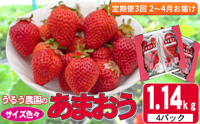 
            定期便 3回 いちご 発送時期 2026年2月～4月 うるう農園のあまおう サイズ色々 4パック 約1.14kg 配送不可 離島 果物類 フルーツ 安心 安全 美味しい 食べやすい 
          