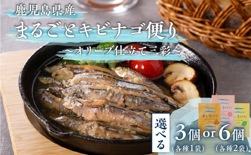 ＜選べる＞ 君とキビナゴ 鹿児島県産 きびなごのオリーブオイル仕立て 3個 or 6個 セット　K032-003