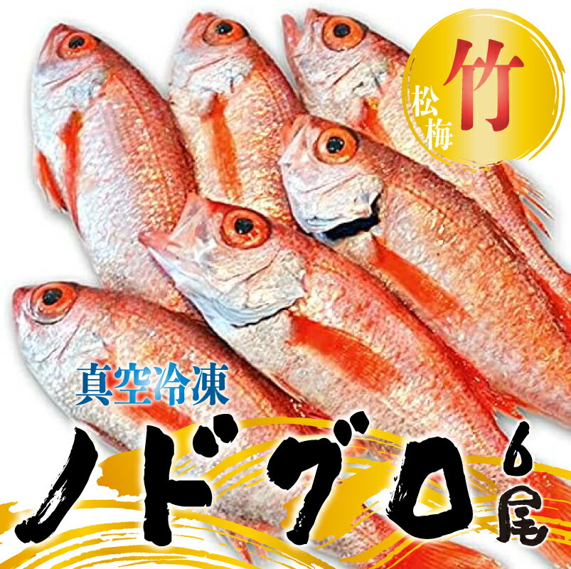 【ふるさと納税】 ノドグロ 6尾 1.2kg 以上 1尾 約200g以上 新潟 日本海産 高級魚 新鮮 真空 急速冷凍 冷凍 魚介類 日本海 新潟産 国産 松竹梅【竹】uomizushima004