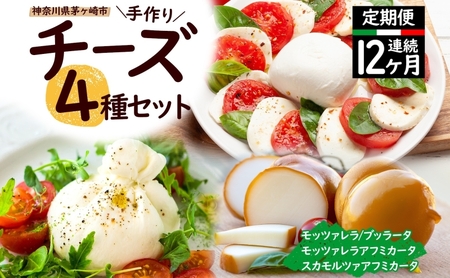 チーズ 定期便 12ヶ月 4種 詰め合わせ 茅ヶ崎 手作り チーズ