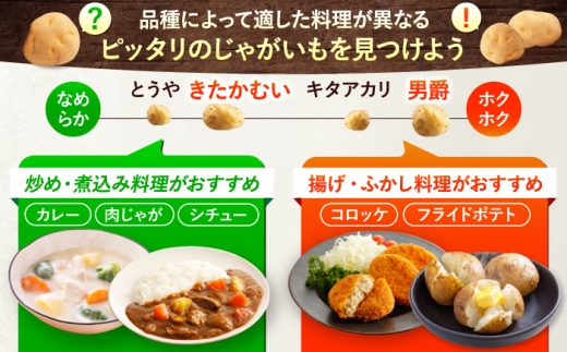 【2027年1月上旬以降順次発送】 じゃがいも 食べ比べセット（男爵・きたかむい）計20kg （10kg×2種） | じゃがいも ジャガイモ 男爵芋 きたかむい 北海道 産地直送 セット 先行予約 |