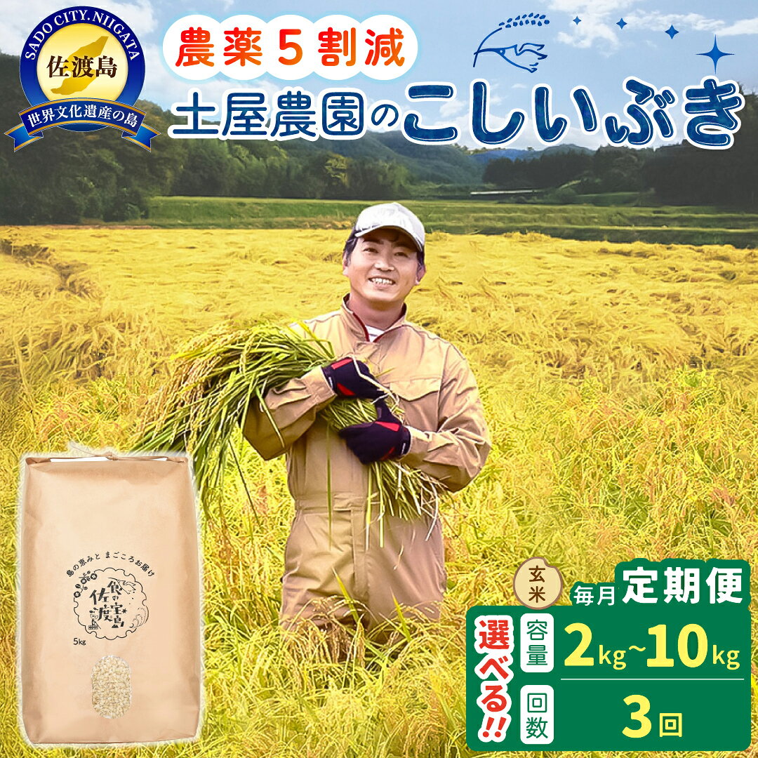 【ふるさと納税】【3か月定期便】玄米 こしいぶき 2kg 5kg 10kg 選べる 令和8年産 佐渡島産 農薬5割減 土屋農園 げんまい お米 ごはん おにぎり 新潟県 佐渡市