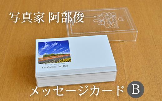 写真家 阿部俊一 名刺台紙・メッセージカード100枚(B)[005-06]