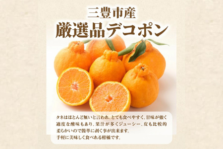 産地厳選三豊のフルーツ3回定期便 R