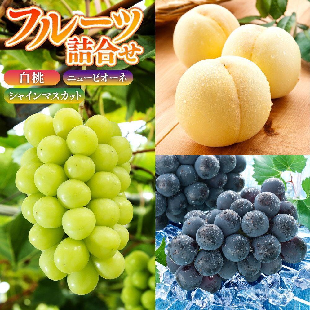 【ふるさと納税】もも ぶどう 先行予約 詰合せ 白桃2玉（1玉220g以上）・ニューピオーネ1房（480g以上）・シャインマスカット晴王 1房（480g以上） 化粧箱入り 岡山県産 フルーツ ギフト 倉敷市 送料無料 【2026年7月下旬～8月上旬迄順次発送予定】