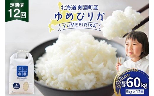 米 令和8年 12回 定期 ゆめぴりか 5kg [武山農園 北海道剣淵町 14656443 ] 令和8年産 白米 精米 新米 ご飯 ごはん コメ こめ 国産 10キロ 定期
