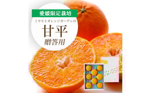 ＜2026年2月より順次発送＞愛媛限定栽培柑橘 甘平(かんぺい) ギフトボックス入り＜D25-99＞_ みかん ミカン 柑橘 フルーツ ふるーつ 果物 くだもの 青果 甘平 かんぺい 甘い 高糖度 濃厚 愛媛 希少 産直 産地直送 箱入 【1360088】