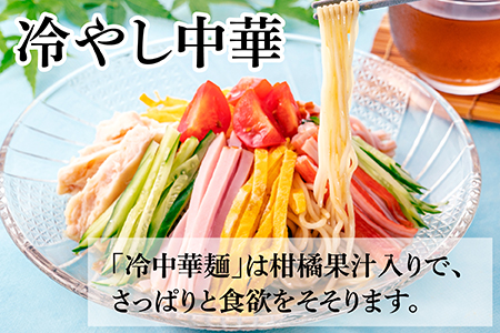夏 ひんやり麺 セット～冷やし中華 6食＆そうめん 5袋～ 076-0467