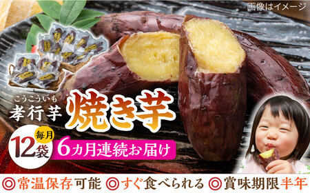 【全6回定期便】孝行芋 焼き芋 12袋  対馬 やきいも 常温 保存食 濃密 甘い おやつ 濃蜜 スイーツ デザート  [WAI055]