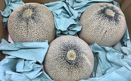 《先行予約 2024年度発送》ぎゅっと肉厚！山形のおいしいメロン【青肉】 FSY-0118