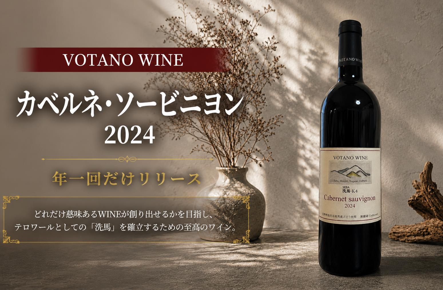 
                  ≪チョイス限定≫ 長野県塩尻産ワイン 株式会社VOTANO WINE カベルネ・ソービニヨン 2024 ｜ ワイン わいん チョイス限定 赤ワイン 赤 特殊ポリタンク熟成 辛口 ヴォータノワイン カベルネ・ソービニヨン 塩尻市 長野県 信州
                
