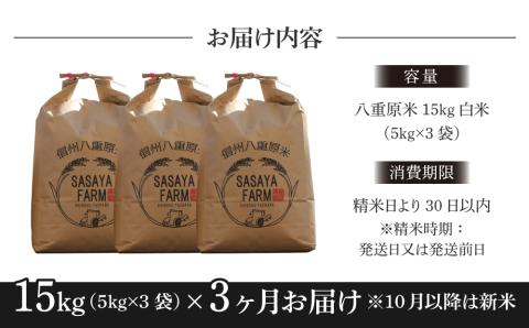 令和6年新米予約【3回定期便】八重原米15kg（5kg×3袋）白米