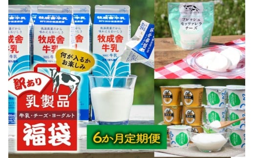 【6か月定期便】牧成舎の訳あり乳製品福袋（牛乳・ヨーグルト・チーズ詰め合わせ）訳あり 福袋 乳製品 チーズ 詰め合せ  | 牧成舎 DF229
