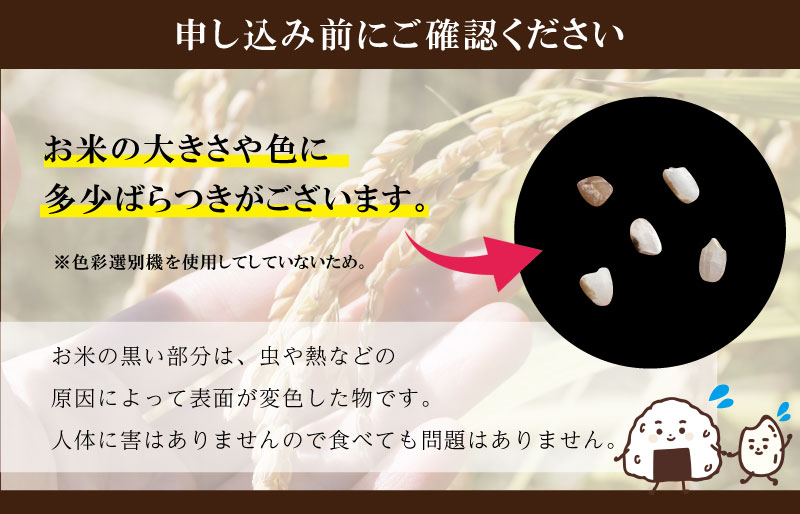 下村農園 オリジナル ブランド米 三重県産 斎王米 5kg ふるさと納税 ふるさと 米 コメ こめ おこめ ギフト プレゼント 贈答 贈り物 御祝い お祝い返礼品 人気 お取り寄せ 三重米 お米 新米 白米 精米 国産 いのちの壱 大粒 歯ごたえ 香り 甘み SN2