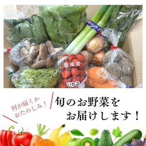 直売所からお届け！旬の野菜セット【隔月6回お届け】（8～10品詰め合わせ）新鮮な野菜直送便