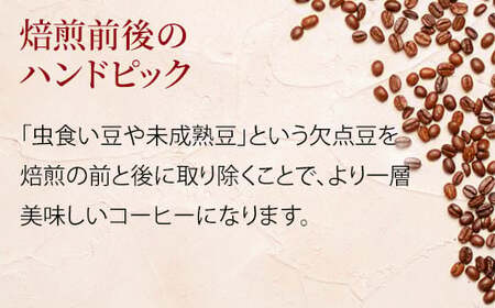 【コーヒー豆】エチオピアゲイシャ＆ブルーマウンテン＆コピ・ルアック｜コーヒー