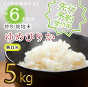 【ふるさと納税】【先行予約】令和6年産たかすタロファームゆめぴりか（ゆめぴりか精白米・5kg）