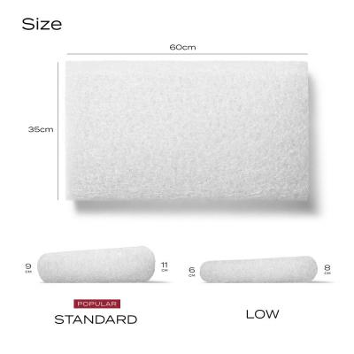 ふるさと納税 玖珠町 ブレインスリープ ピロー STANDARD ( 9グラデーション )+ カバー ホワイト |  | 02