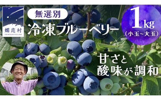 
                  【 最短 7日以内 発送 】 冷凍 ブルーベリー 無選別（ 小玉 ～ 大玉 ） 1kg 数量限定 国産 フルーツ スムージー 果物 くだもの 農家直送 スイーツ アイス ノーザンハイブッシュ系 ミックス [AT013tu]
                
