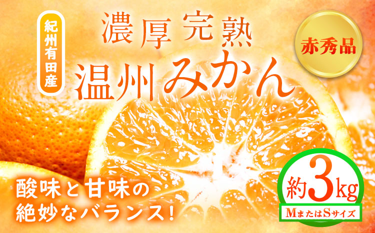 【先行予約】赤秀品　紀州有田産 濃厚完熟温州みかん 3kg(MサイズまたはSサイズ) 魚鶴商店《2026年11月下旬〜2027年1月下旬頃出荷予定》和歌山県 日高町 みかん ミカン 蜜柑 フルーツ 柑橘---wsh_uot156_11g1g_25_12000_3kg---