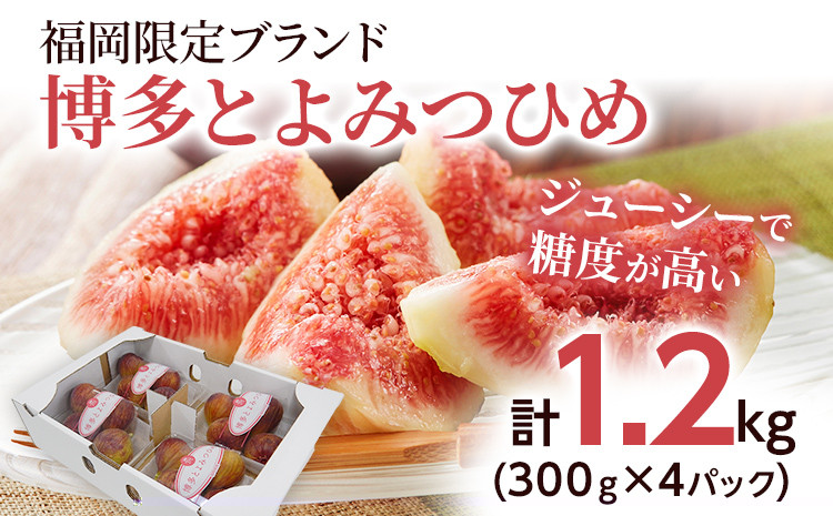 
                  いちじく とよみつひめ 300g×4パック イチジク 無花果 計1.2kg 福岡限定 フルーツ 果物 博多とよみつひめ 九州 福岡 ジューシー 糖度 スムージー フレッシュ 福岡県産 【2026年7月下旬以降順次発送予定】 ichijiku toyomitsuhime 先行受付 旬 いちぢく くだもの 国産 先行予約 期間限定 限定 果実 ギフト プレゼント 贈呈 冷蔵 甘い デザート お土産
                