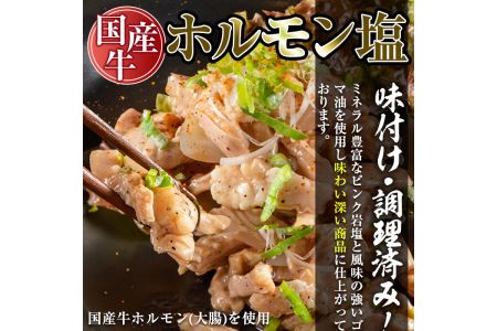 No.795 焼肉アリラン飯店の牛タン塩・国産牛ホルモン塩(合計800g・牛タン100g×4P・ホルモン100g×4P)牛肉 ホルモン 牛タン タン 内臓 大腸 焼肉 お肉 おかず おつまみ 小分け 