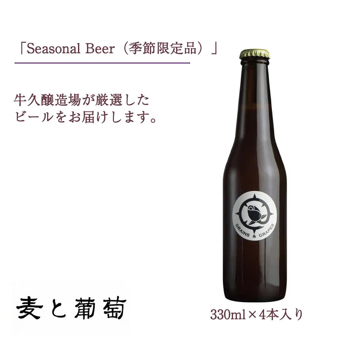 【 お中元 熨斗付 】 2年連続！《 ジャパン・グレートビア・アワーズ 受賞 》クラフトビール3種 計 12本セット