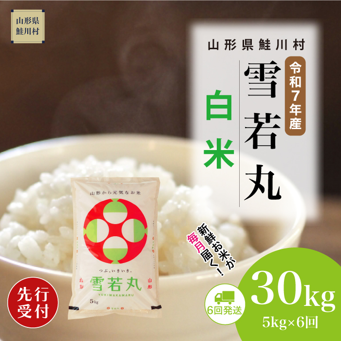 ＜令和7年産米先行受付＞ 鮭川村産 雪若丸 【白米】30kg定期便 (5kg×6回)　配送時期指定できます！