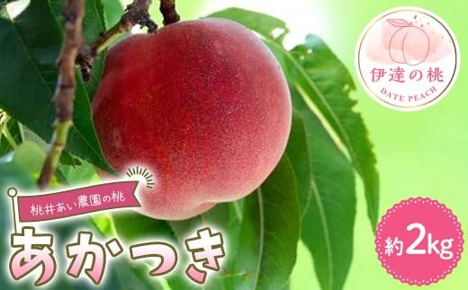 
            桃井あい農園の桃 あかつき 約2kg（6~8玉）桃 もも モモ 果物 F21C-205
          