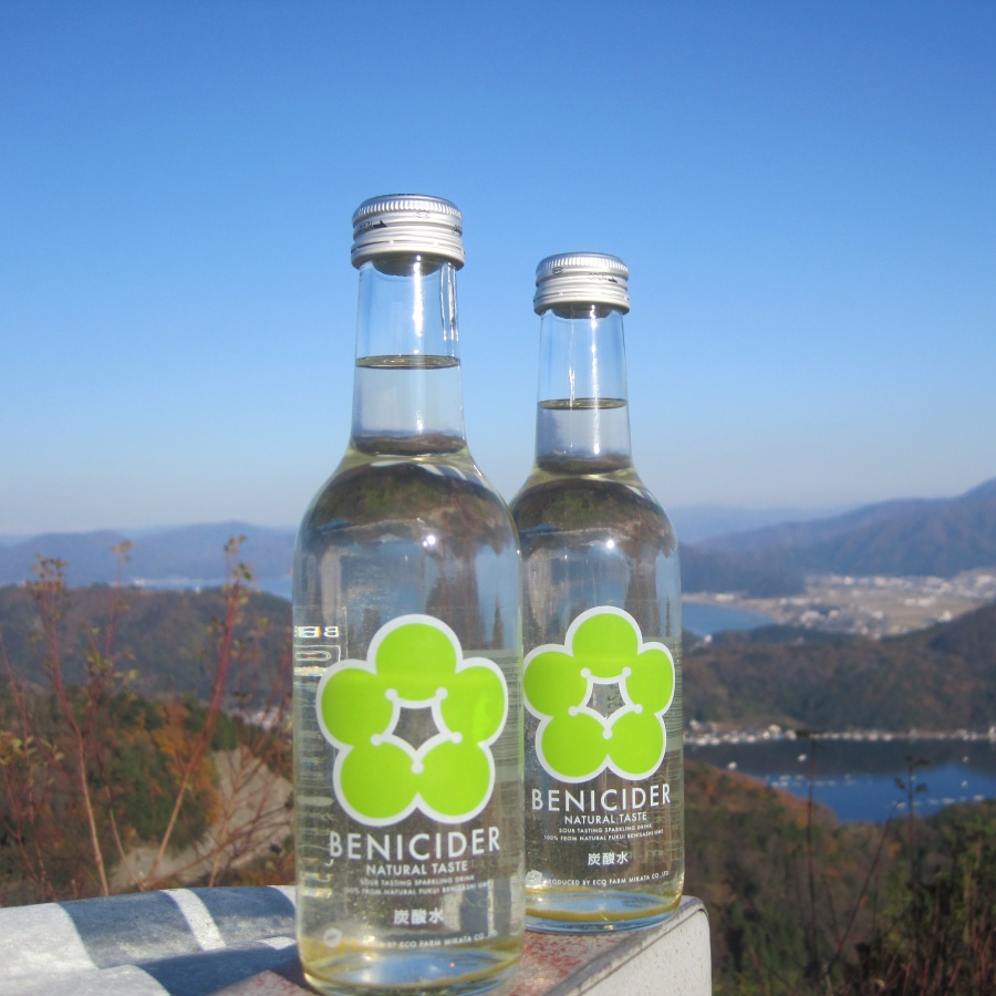 BENIサイダー12本