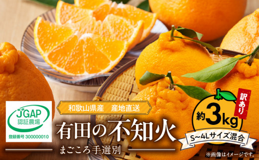 ZE6378n_有田の不知火(しらぬひ) 【訳あり　家庭用】　3kg (S～4Lサイズ混合)まごころ手選別