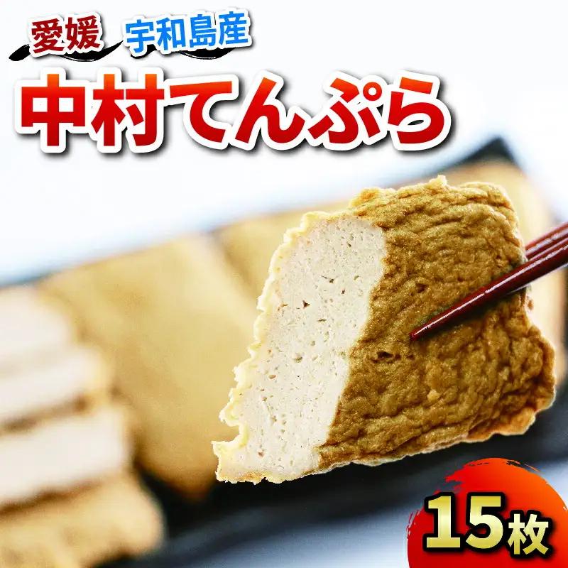 じゃこ天 中村てんぷら 15枚 中村かまぼこ店 すり身 練り物 冷蔵 惣菜 フライ おでん 具 出汁 だし てんぷら 天ぷら かま天 かまぼこ 揚げかまぼこ 蒲鉾 カマボコ グルメ 贈り物 練り物 練物 郷土料理 酒 おつまみ 加工品 特産品 愛媛 宇和島 C012-013004