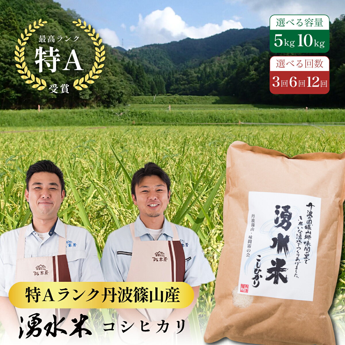 【ふるさと納税】新米〈定期便 特Aランク〉令和8年産 丹波篠山産 特A コシヒカリ 湧水米 【5kg 10kg 3回 6回 12回】 | 丹波篠山 お米 おこめ ブランド米 ごはん ご飯 白米 米 コメ こめ 精米 精白米 おいしい米 美味しいお米 兵庫県 こしひかり コシヒカリ