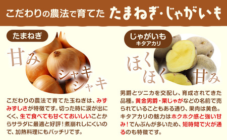 じゃがいも（キタアカリ）とたまねぎのセット 合計約10kg 北あかり 野菜 《10月中旬から順次出荷》橋枝物産 北海道 浦幌町