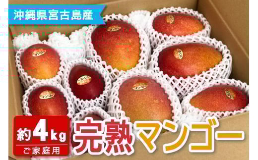 FQ013 【宮古島産マンゴー】ご家庭用 4kg（8-11玉）マンゴーファーム宮古島
