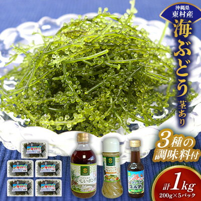 【ふるさと納税】美ら海 沖縄県産 海ぶどうセット／茎あり1kg（200g×5パック）＆調味料3種セット 海ブドウ 海ぶどう うみぶどう パック 茎なし ポン酢 ドレッシング たれ付き クビレズタ 海鮮 海藻 プチプチ おつまみ 沖縄料理 ご当地 特産品 グルメ 常温 沖縄県 東村